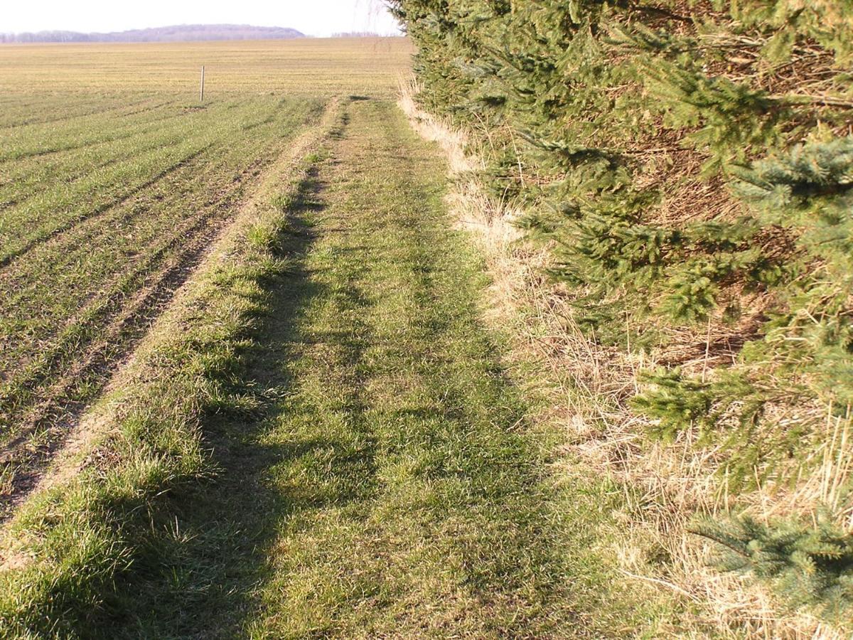 Peeneurlaub Lassan Buitenkant foto