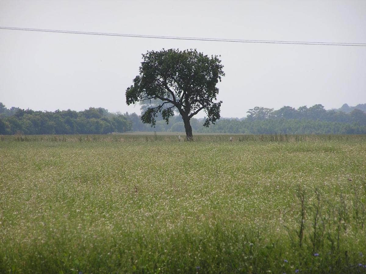 Peeneurlaub Lassan Buitenkant foto