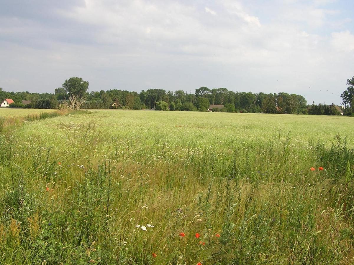 Peeneurlaub Lassan Buitenkant foto