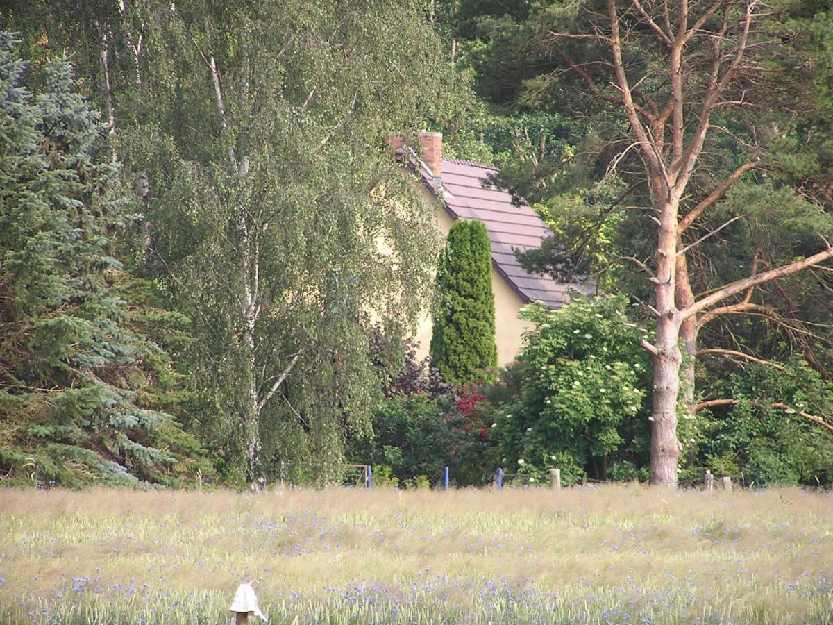 Peeneurlaub Lassan Buitenkant foto