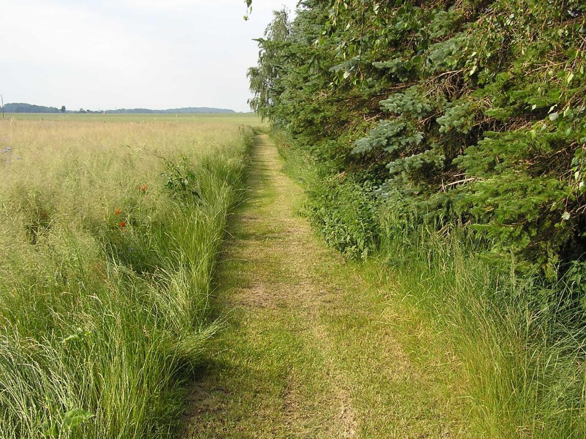 Peeneurlaub Lassan Buitenkant foto